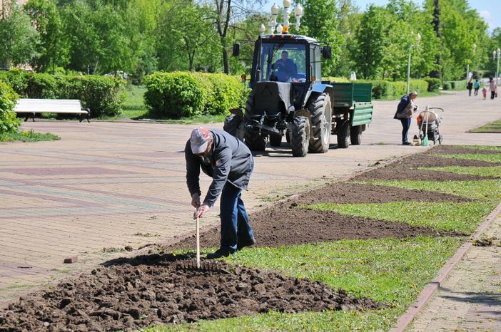 Озеленение в Ступино