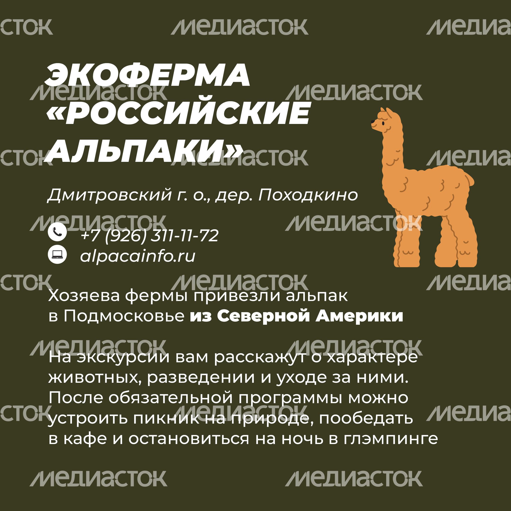 Фермы с животными-25.jpg