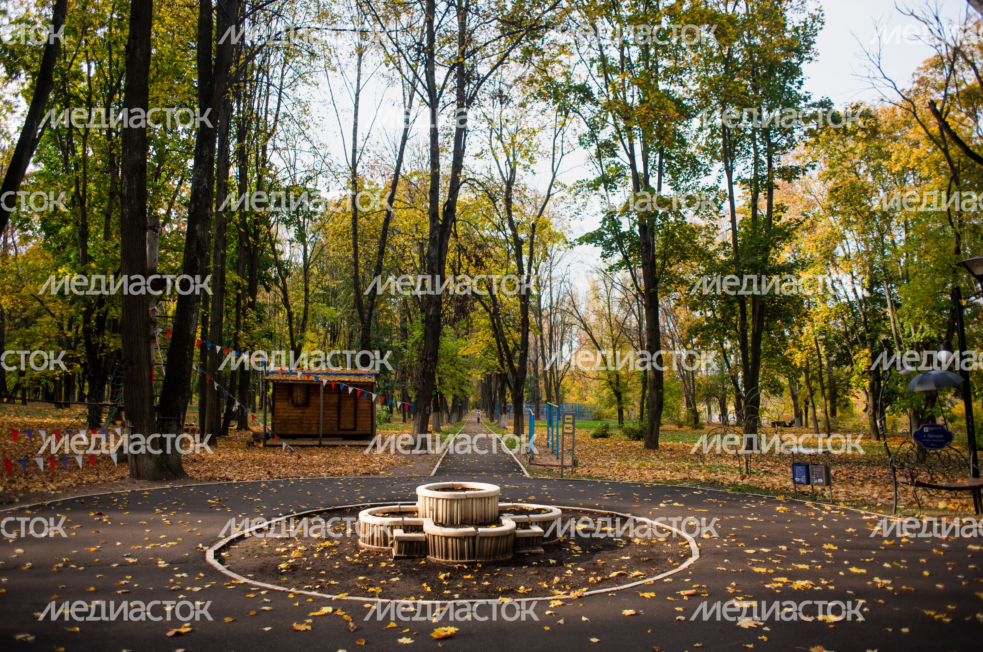 Осенние виды Городского парка в Щёлково