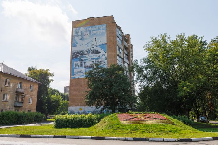 Герб города Электроугли на клумбе
