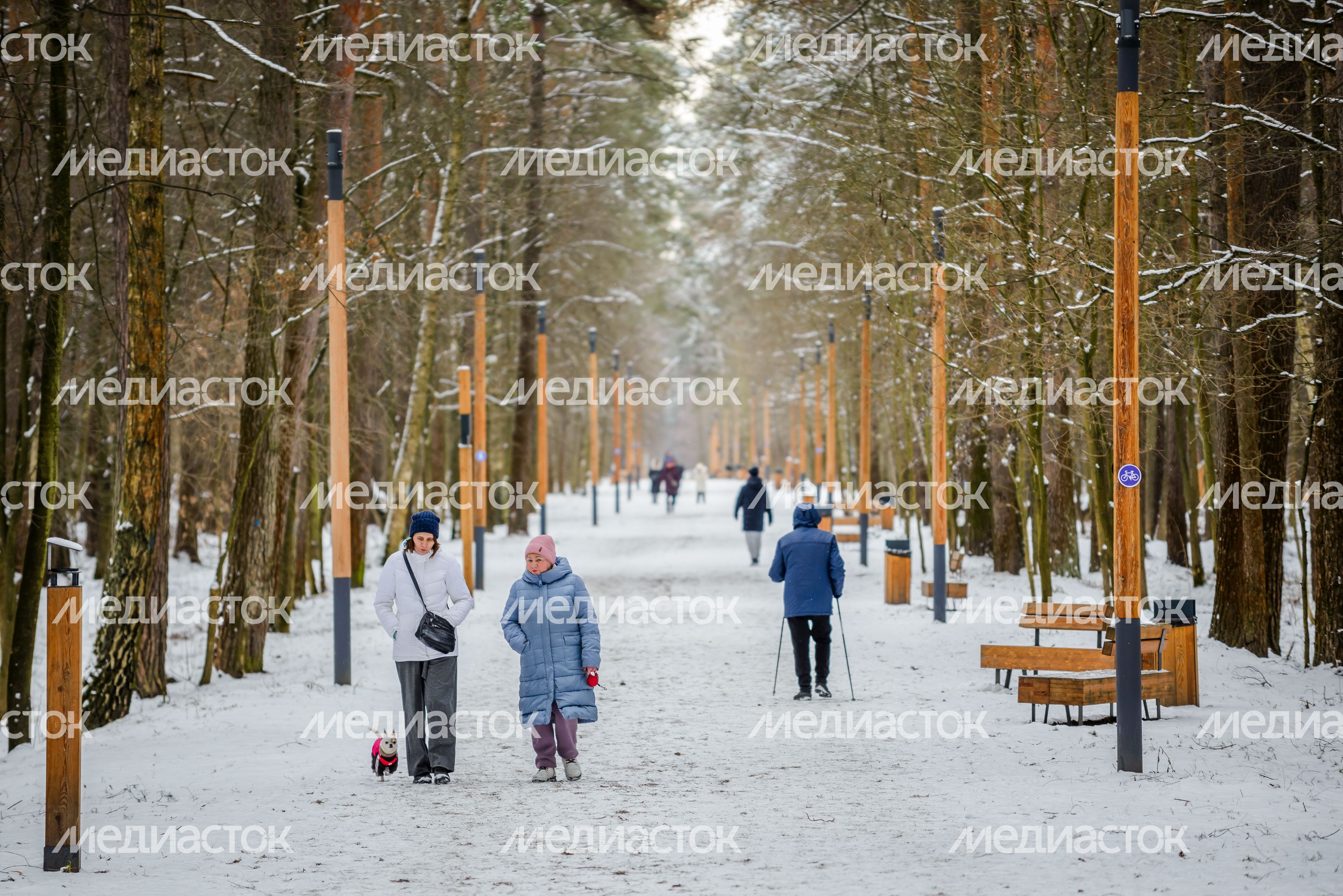 Лесопарк «Лесная опушка» в поселке Октябрьский округа Люберцы