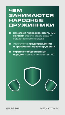 Как стать народным дружинником вертикаль 03
