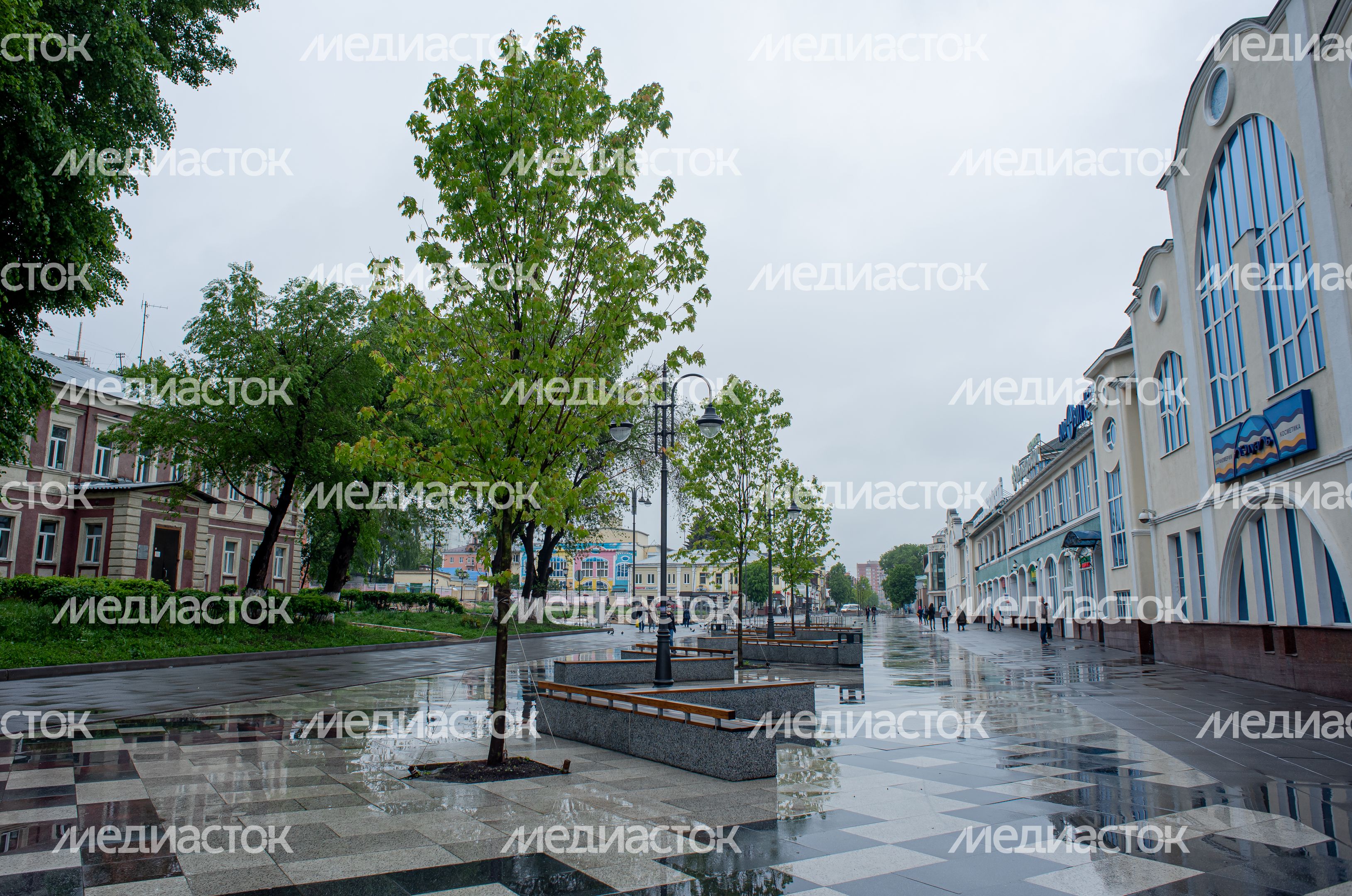 Летние виды города Ногинск