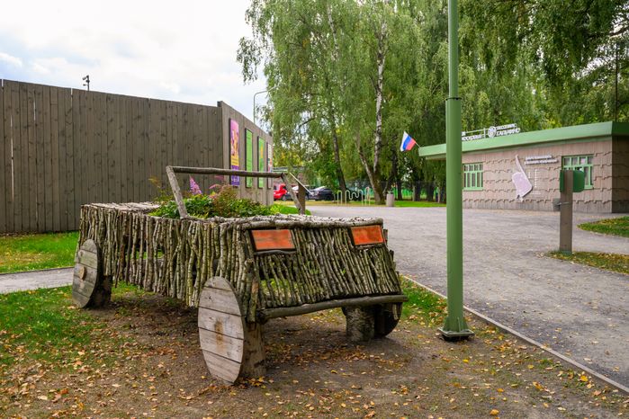 Лето в лесопарке «Гальчино» в Домодедово