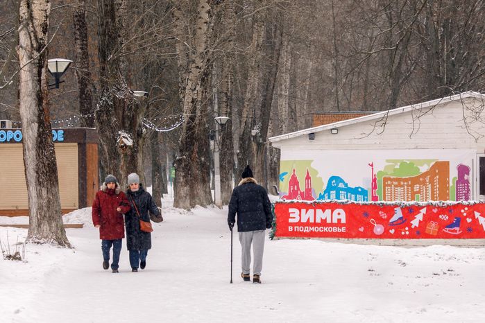 Зимний Щелковский городской парк культуры и отдыха