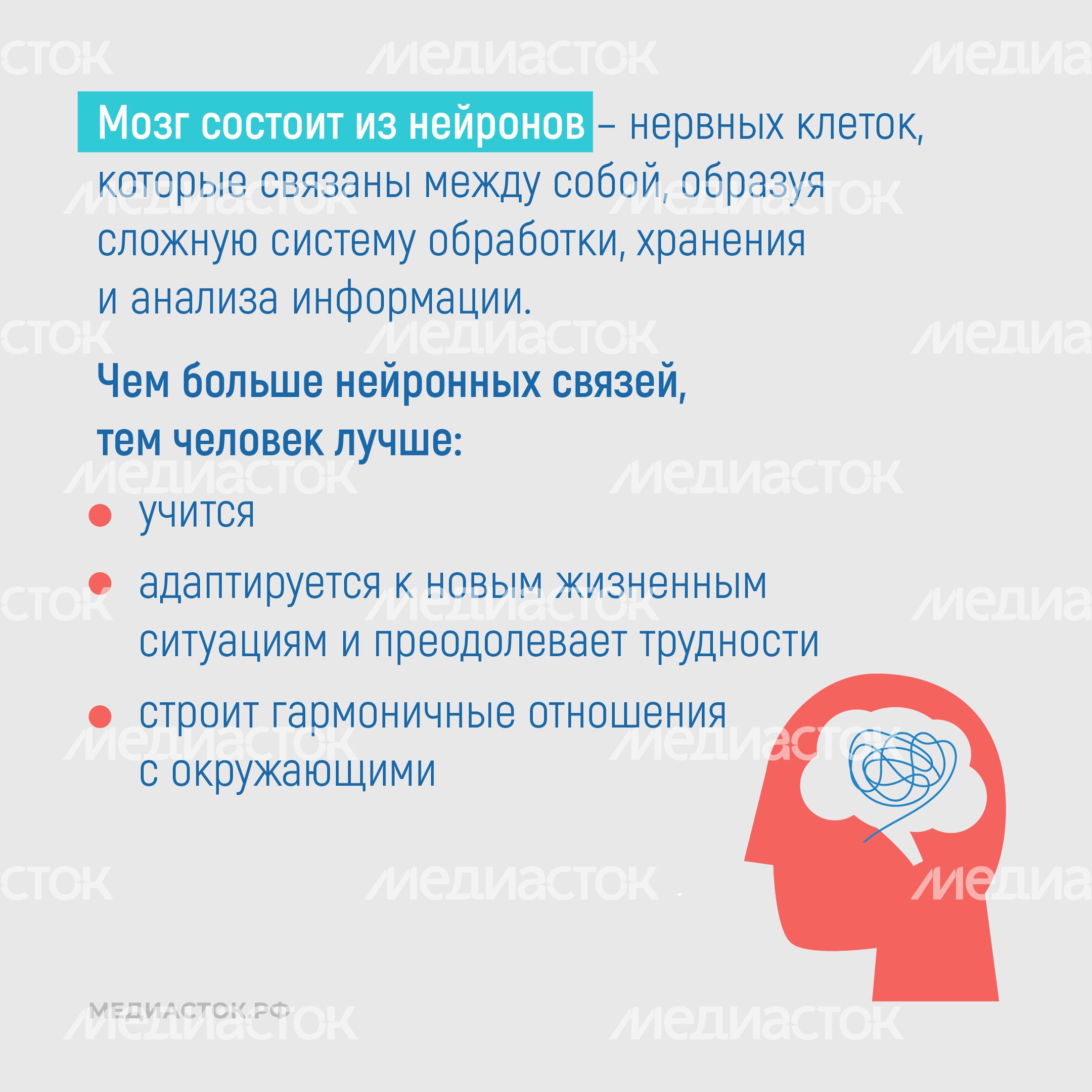 Алкоголь и развитие мозга квадрат 03 Алкоголь и развитие мозга квадрат 03