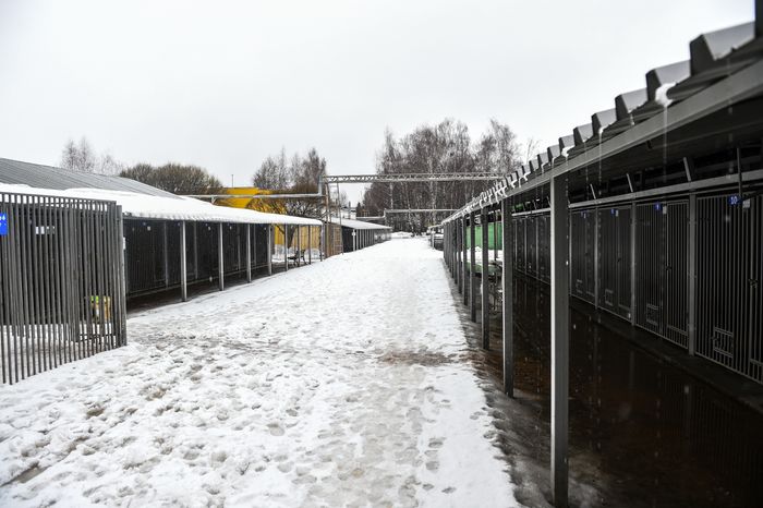 Школа собак‑проводников в Подмосковье