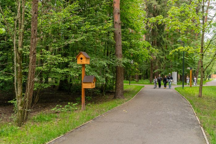 Лето в лесопарке «Дубки» города Апрелевка Наро-Фоминского округа