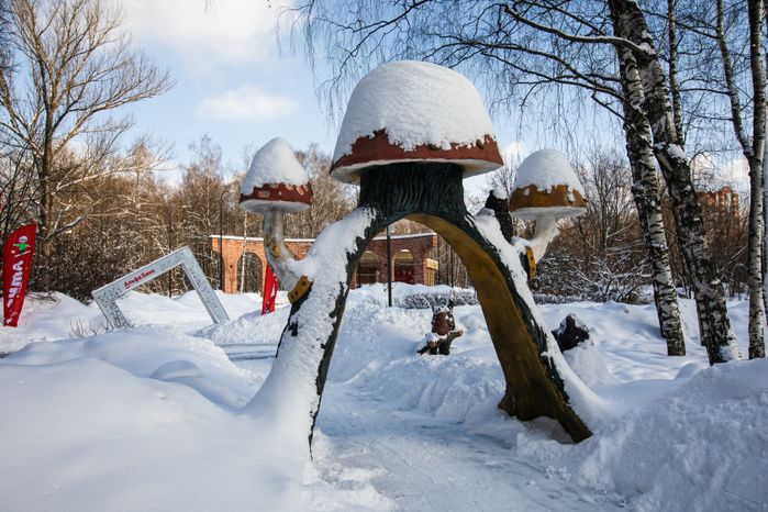 Мытищи. Парк Мира. Зима