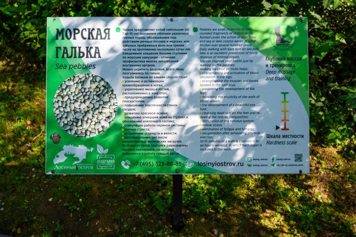 Эколого-просветительский комплекс "Дендрарий" в Мытищах