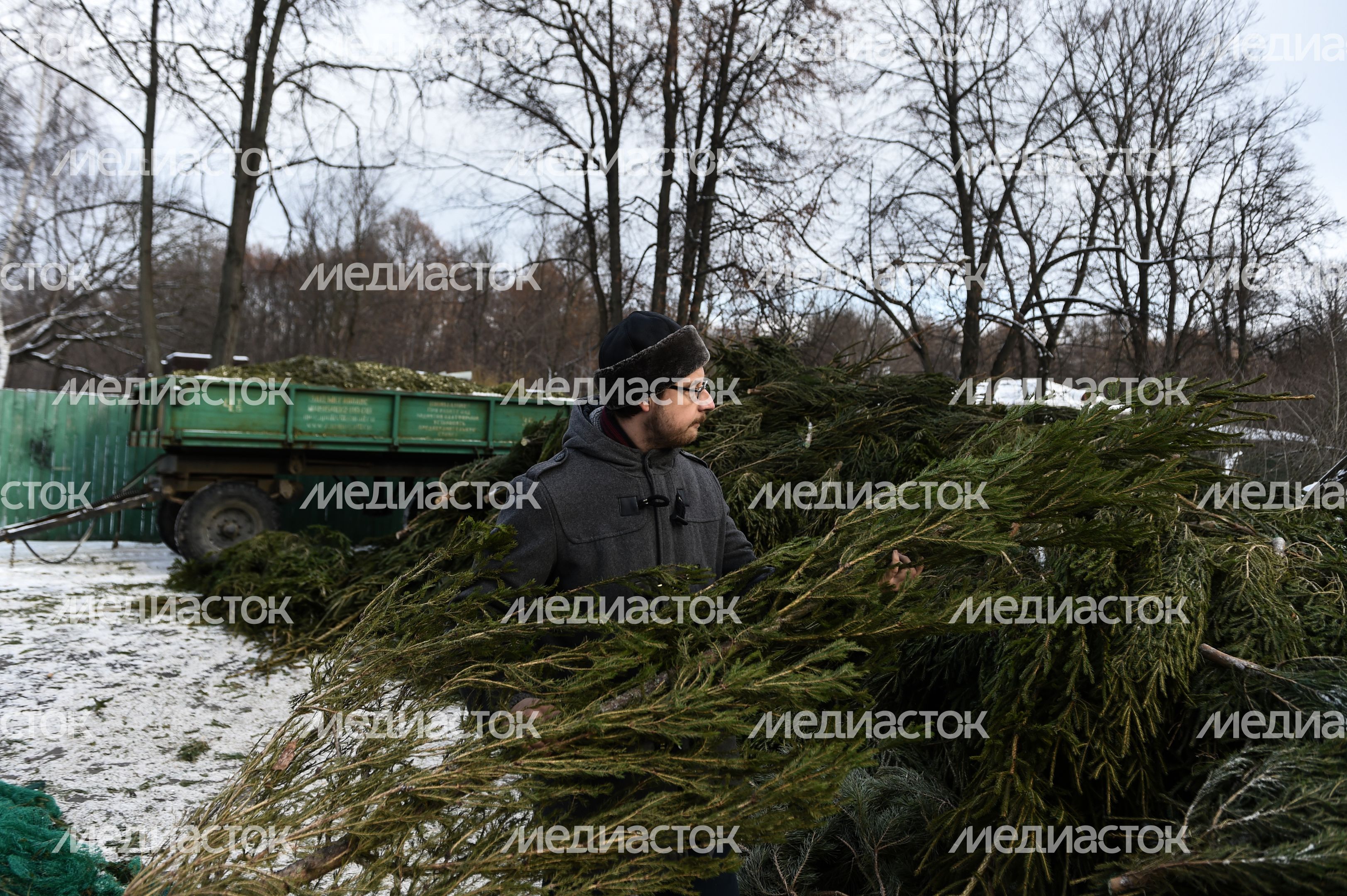 Утилизация елок после Нового года в Москве