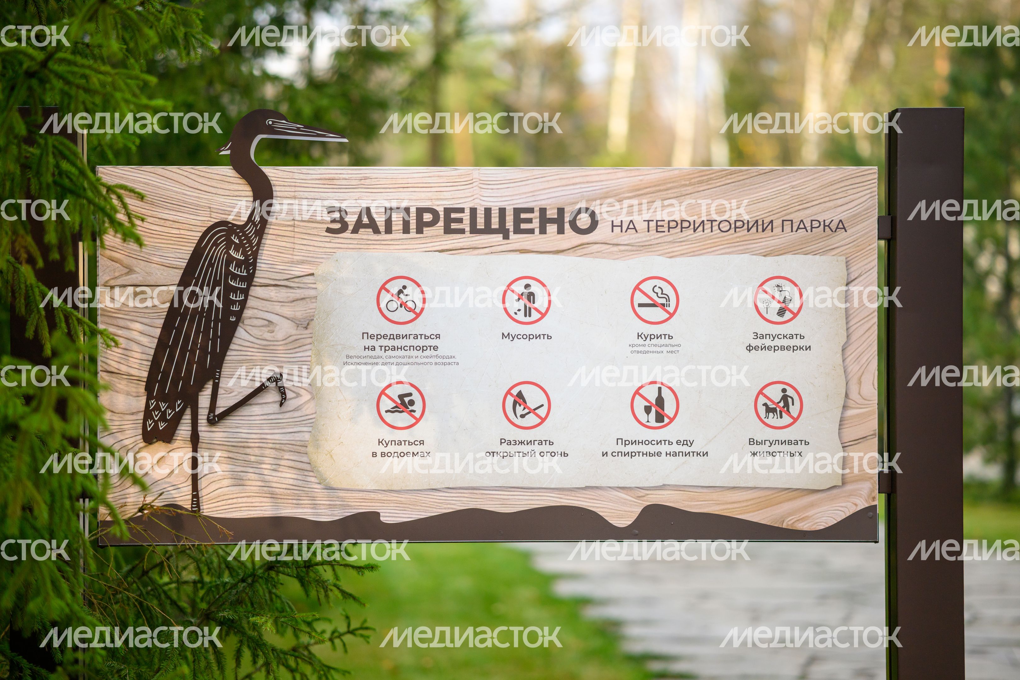 Парк «Ближняя дача» в Мытищах осенью Парк «Ближняя дача» в Мытищах осенью