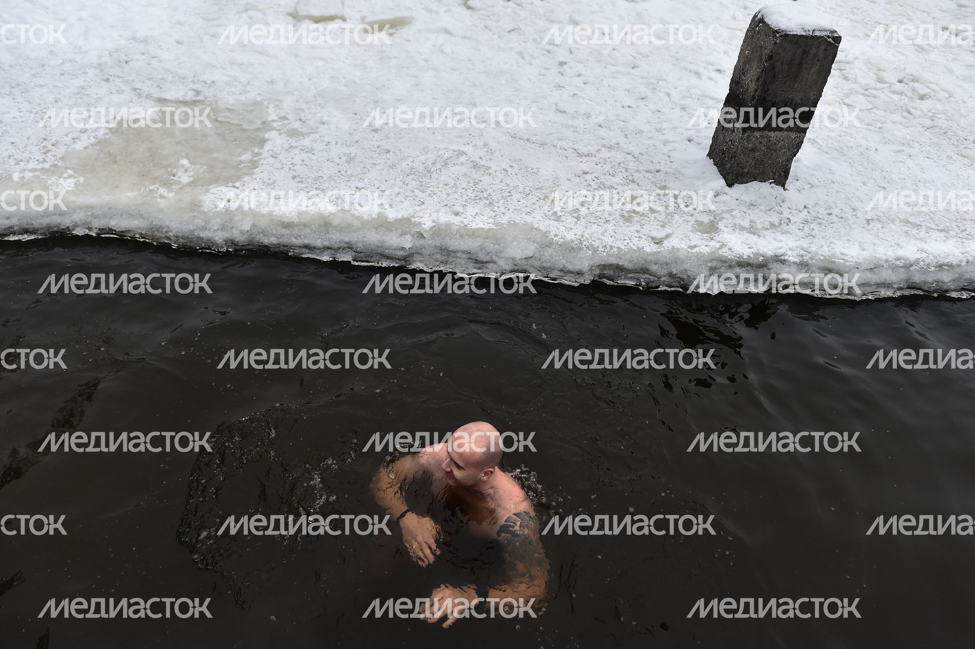 Купание моржей в Долгопрудном