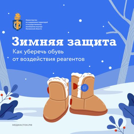 зимняя защита обуви квадрат 01