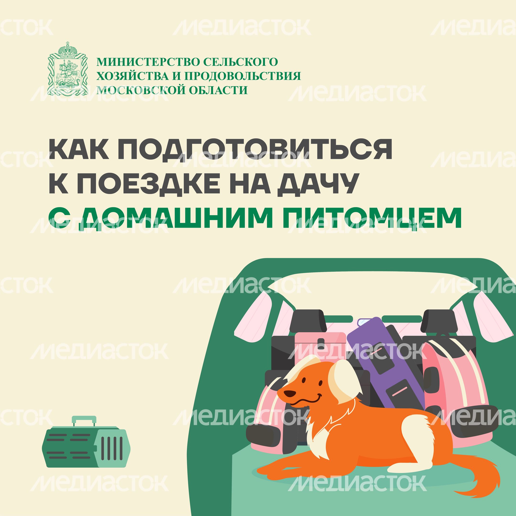 животные на даче квадрат (1)