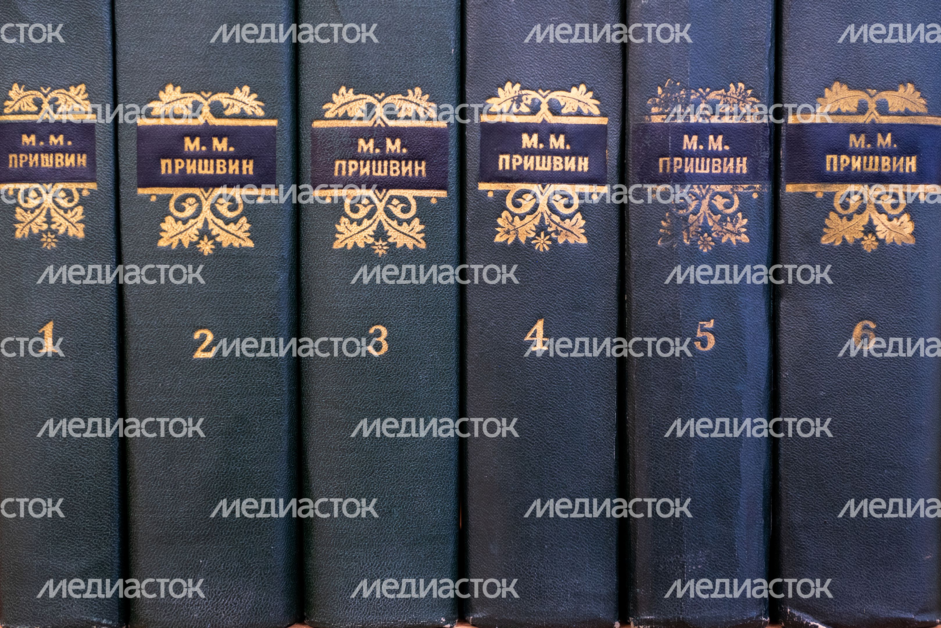 Книги на полке в Центральной библиотеке «Книгополис» – первой модульной библиотеке Наро-Фоминска Книги на полке в Центральной библиотеке «Книгополис» – первой модульной библиотеке Наро-Фоминска