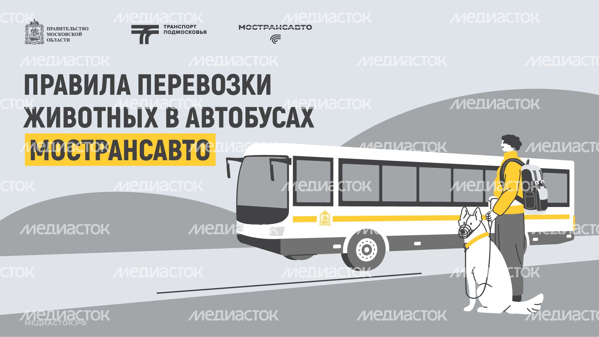 Правила перевозки животных горизонталь 01