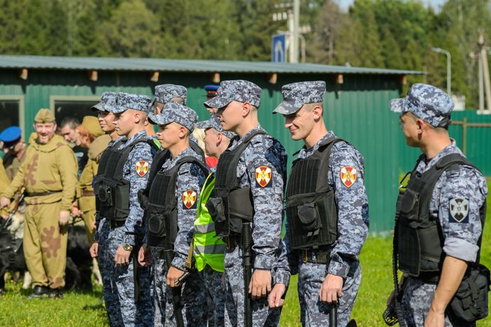 Мытищи. Шолохово. Военно-патриотический фестиваль Фронтовая собака