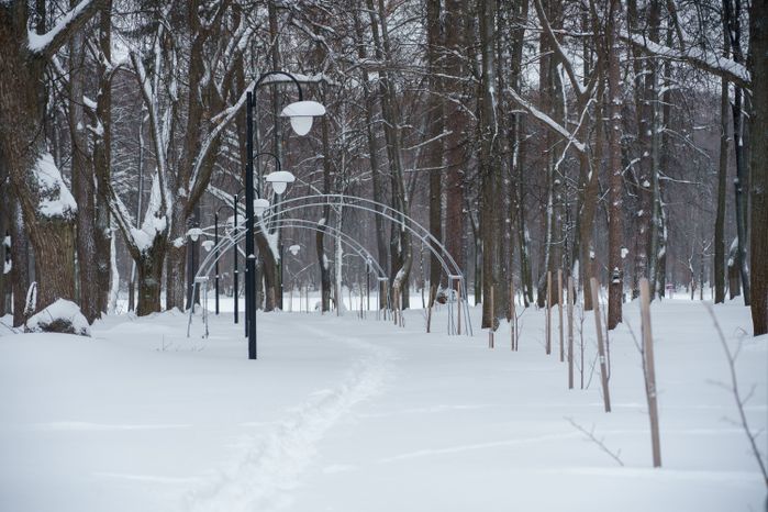 Богородский. Ногинск. Глуховский парк. Зима