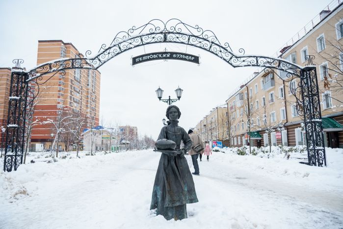 Зимние виды Лосино-Петровского