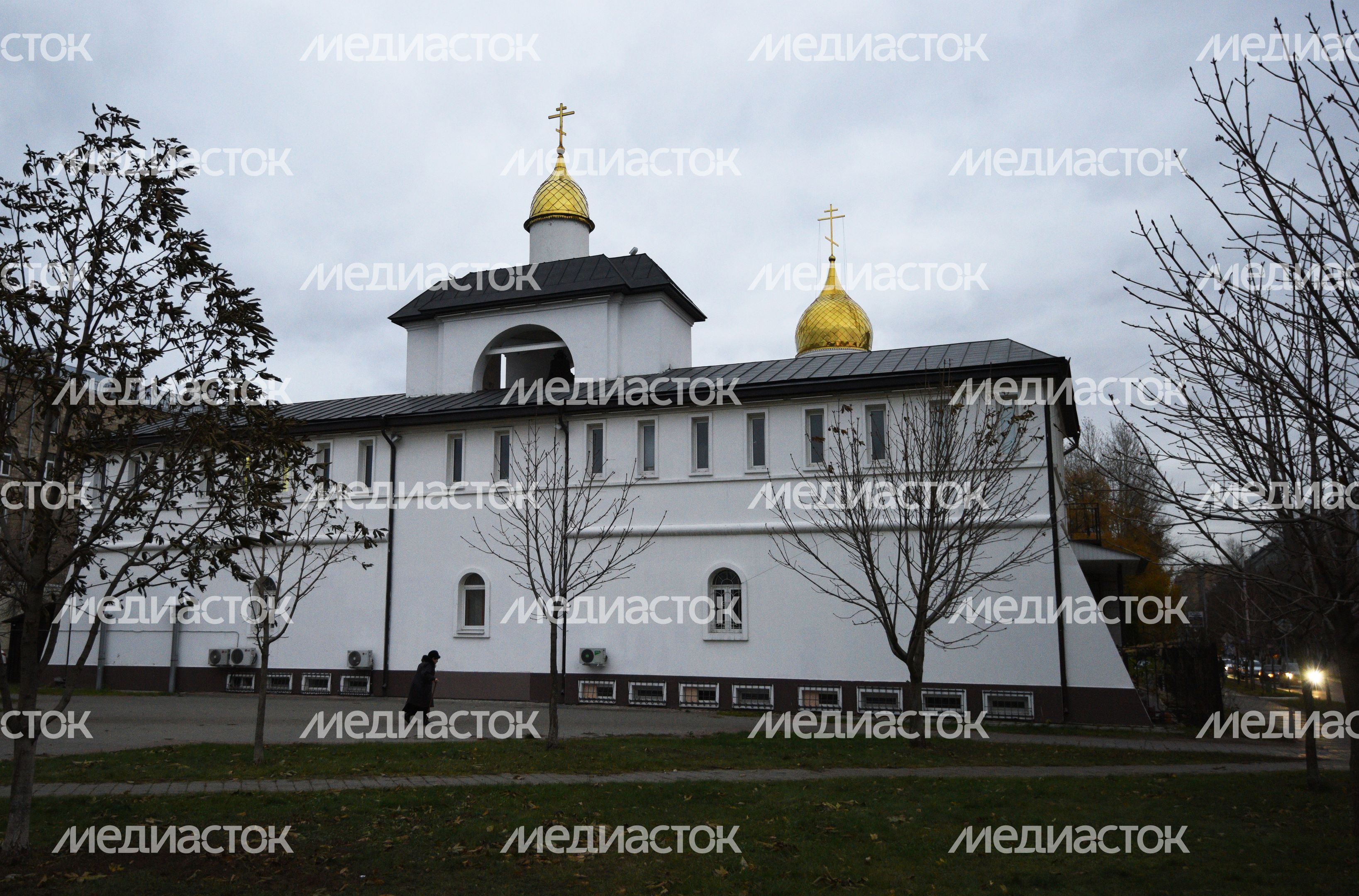 Храм Александра Невского в Балашихе