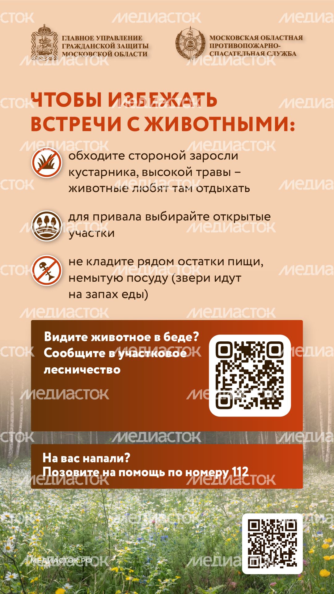 Что делать при встрече с диким животным вертикаль 06 Что делать при встрече с диким животным вертикаль 06