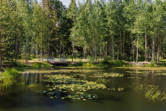 Набережная у пруда в лесопарке «Стрелки» города Орехово-Зуево