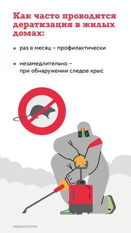 Крысы в МКД вертикаль (4)