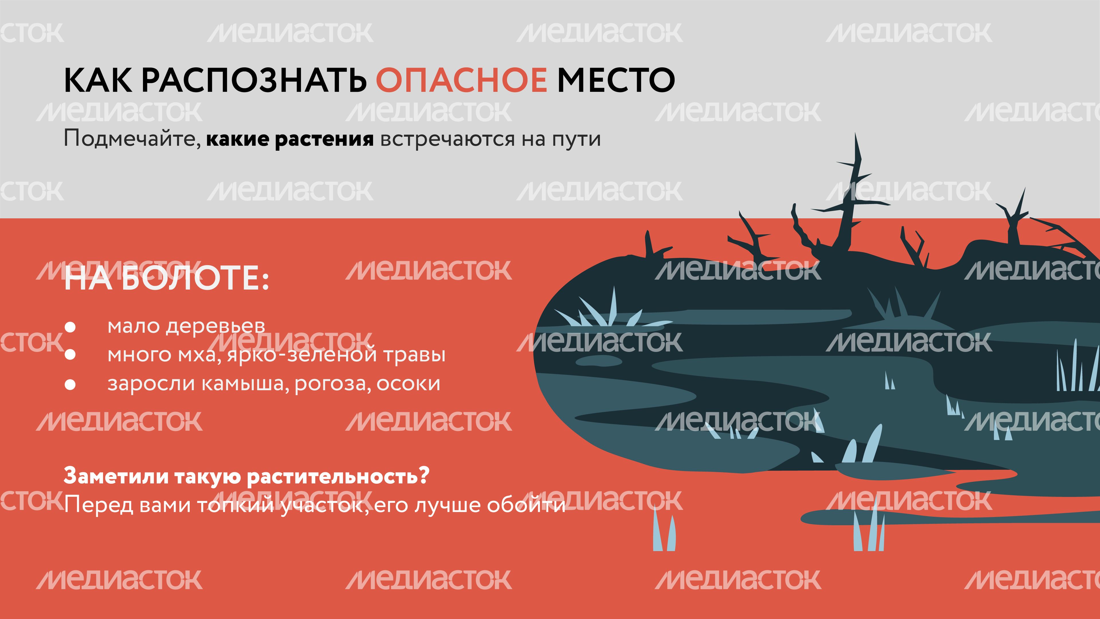 Болото-Горизонталь-04.jpg