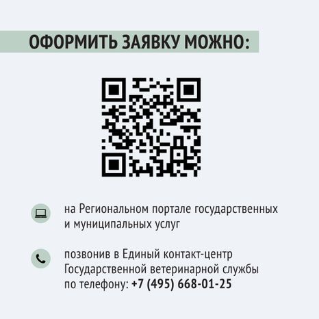 Чипирование-20.jpg