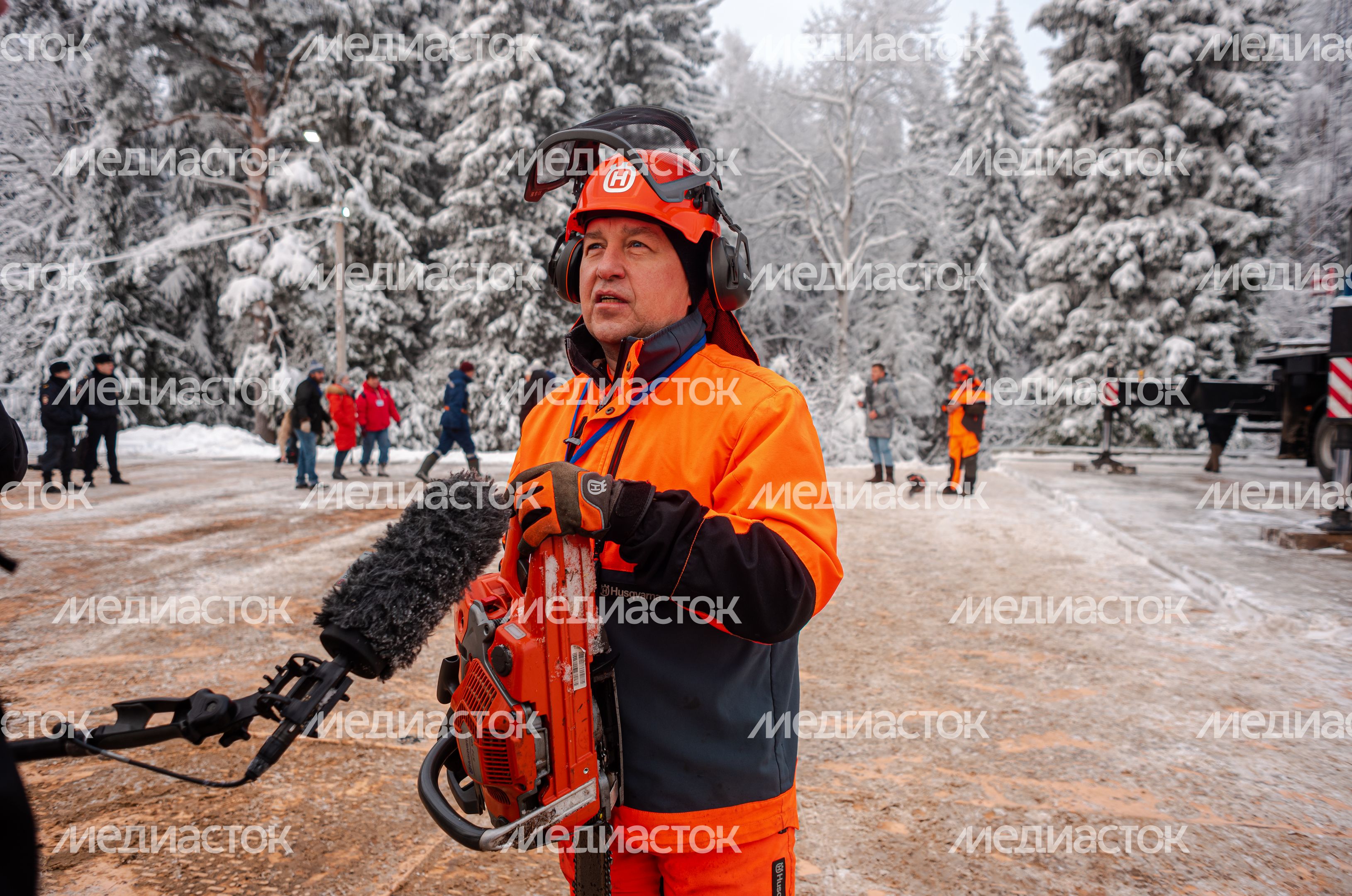 Рубка главной новогодней елки страны