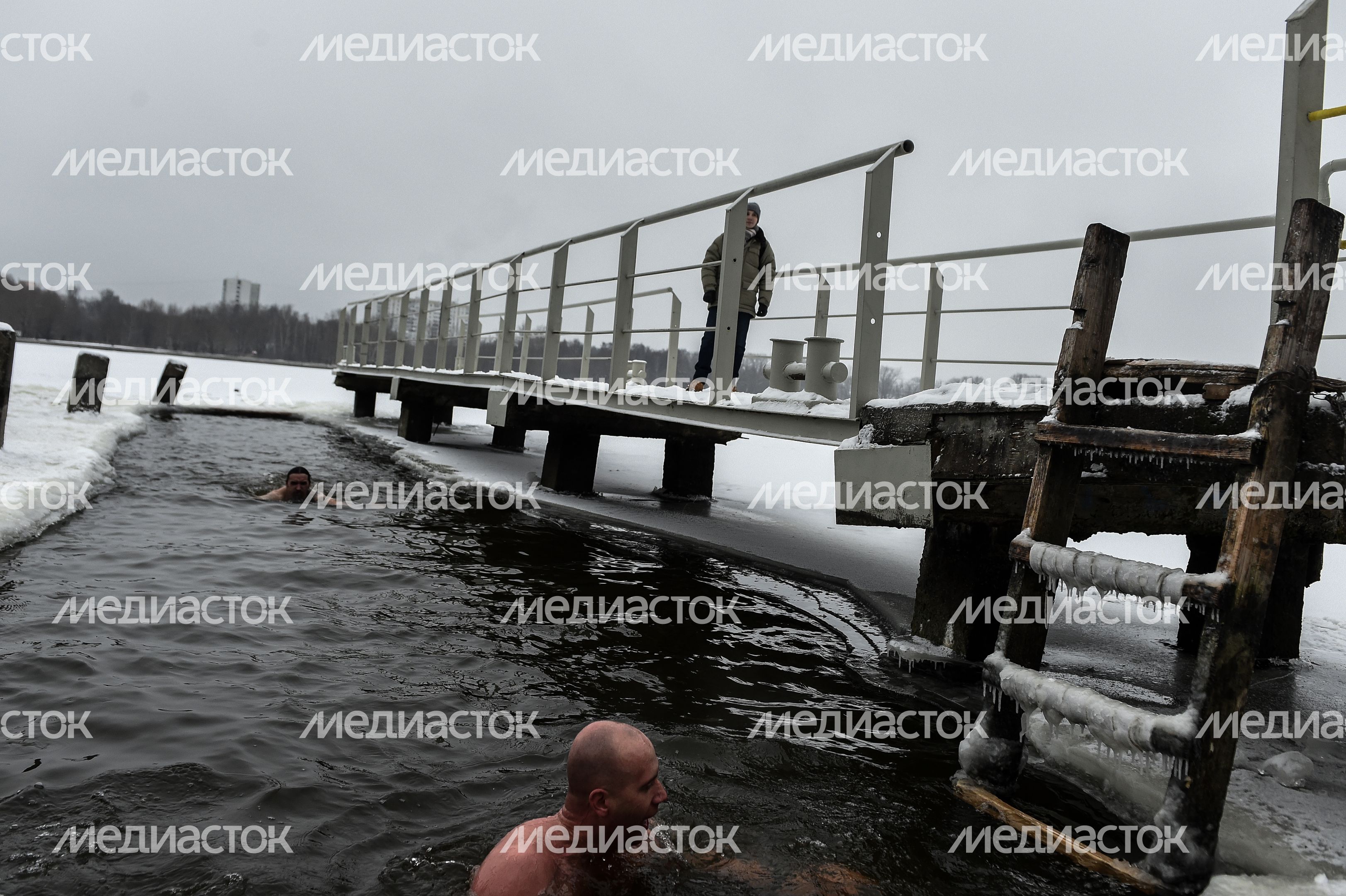 Купание моржей в Долгопрудном