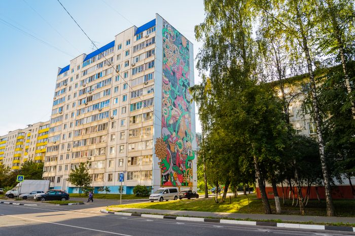 Балашиха. Муралы на стенах домов