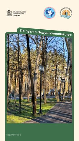 Путешествие по МО Одинцово вертикаль 04
