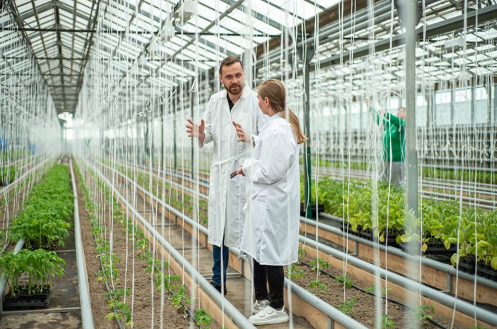 Теплицы крупного семеноводческого агропромышленного комплекса ООО «Агрофирма Партнер»