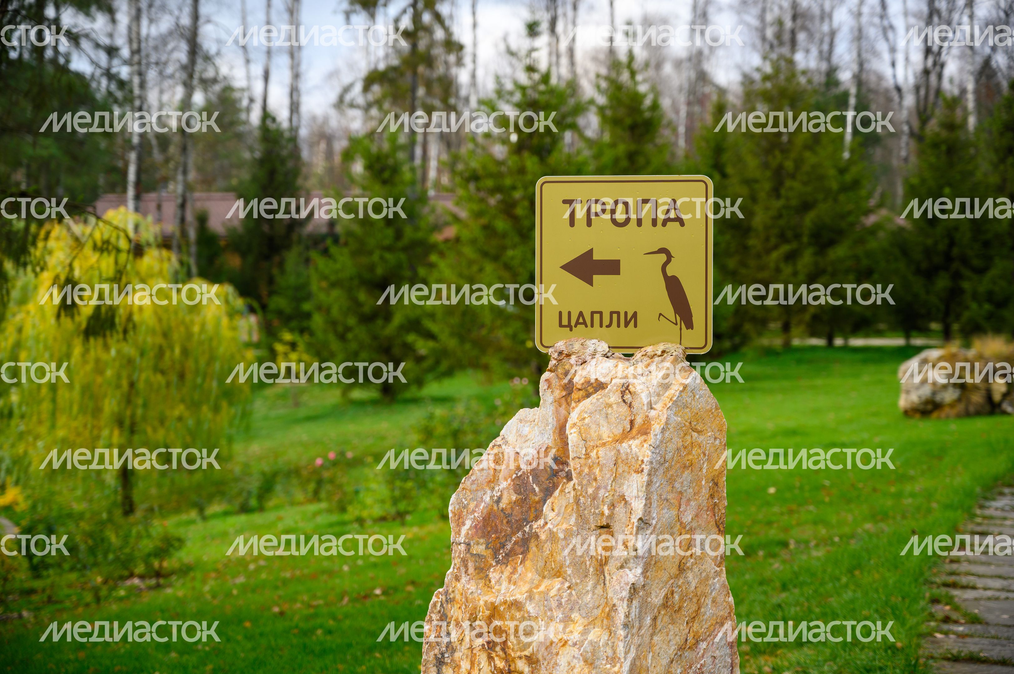 Парк «Ближняя дача» в Мытищах осенью Парк «Ближняя дача» в Мытищах осенью