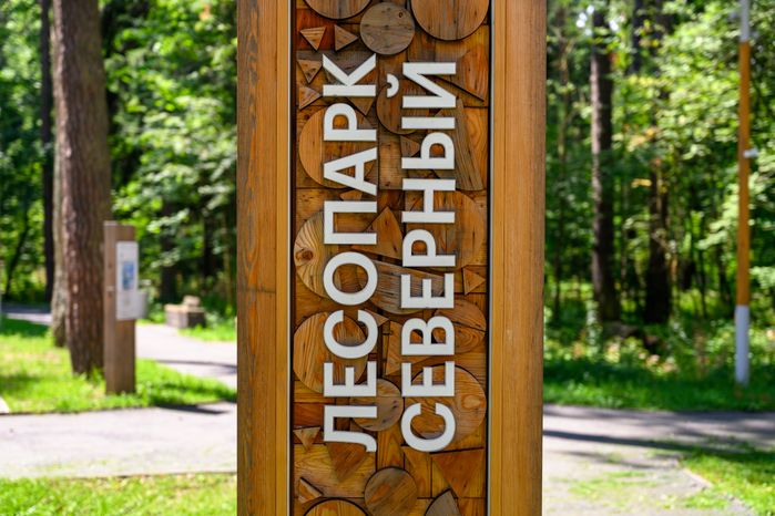 Лесопарк «Северный» в Пушкино летом