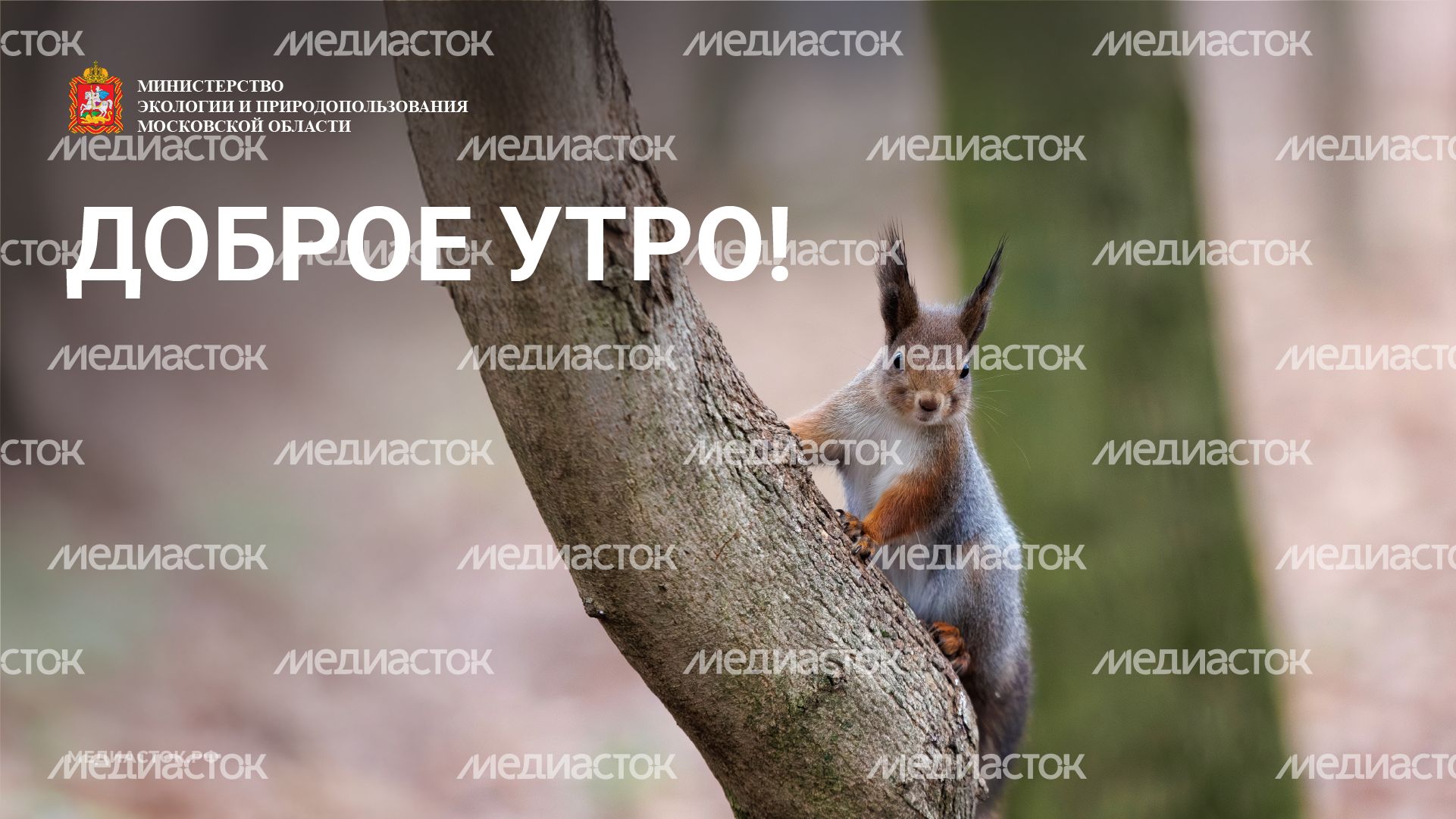 Доброе утро горизонталь 07