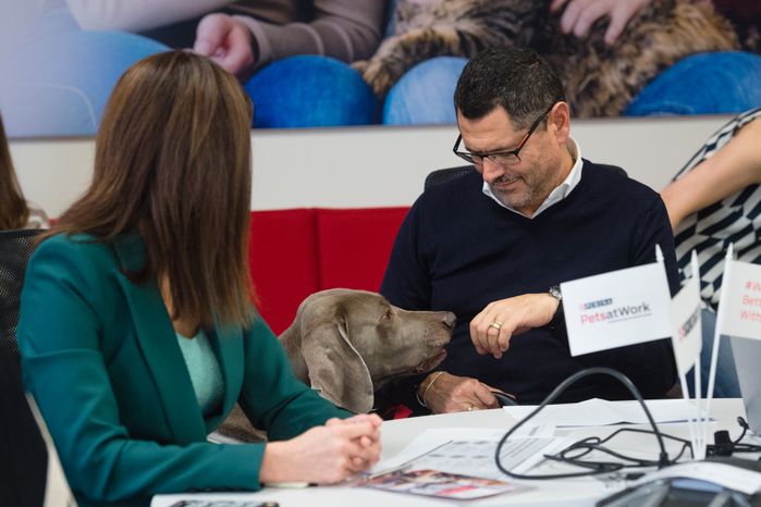 Pet‑friendly офис Purina