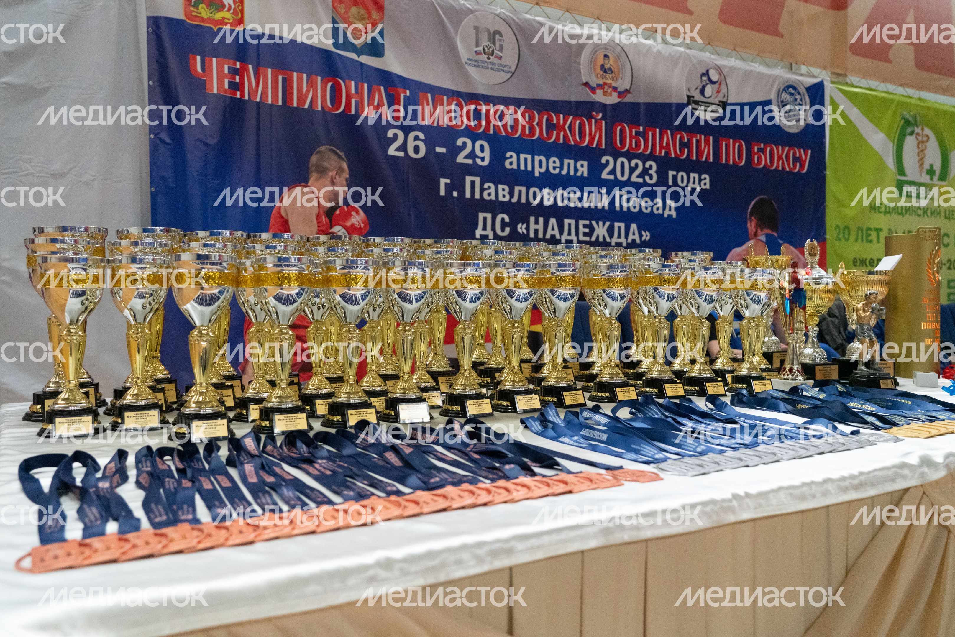 Чемпионат МО по боксу