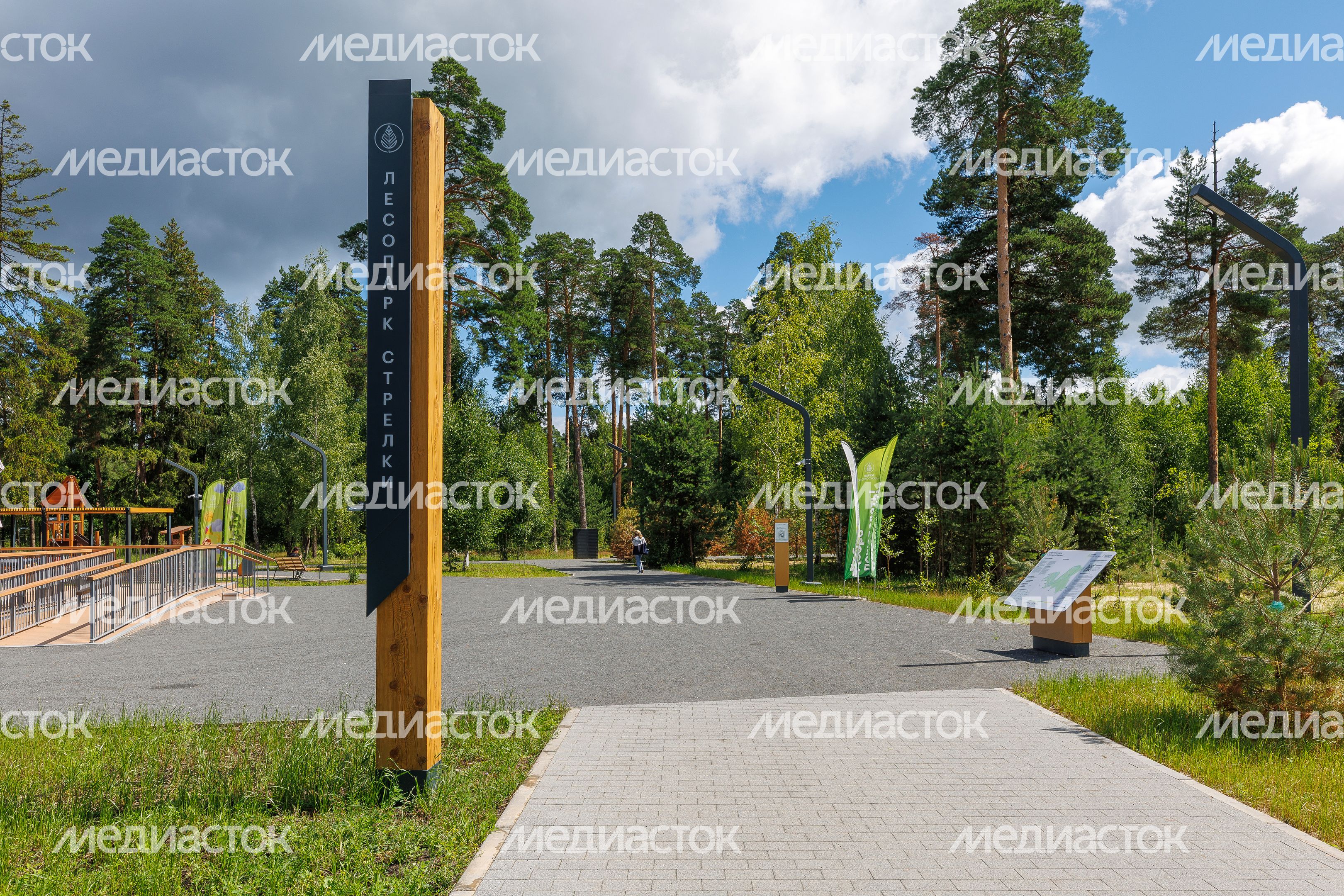 Лесопарк «Стрелки» в Орехово-Зуево летом