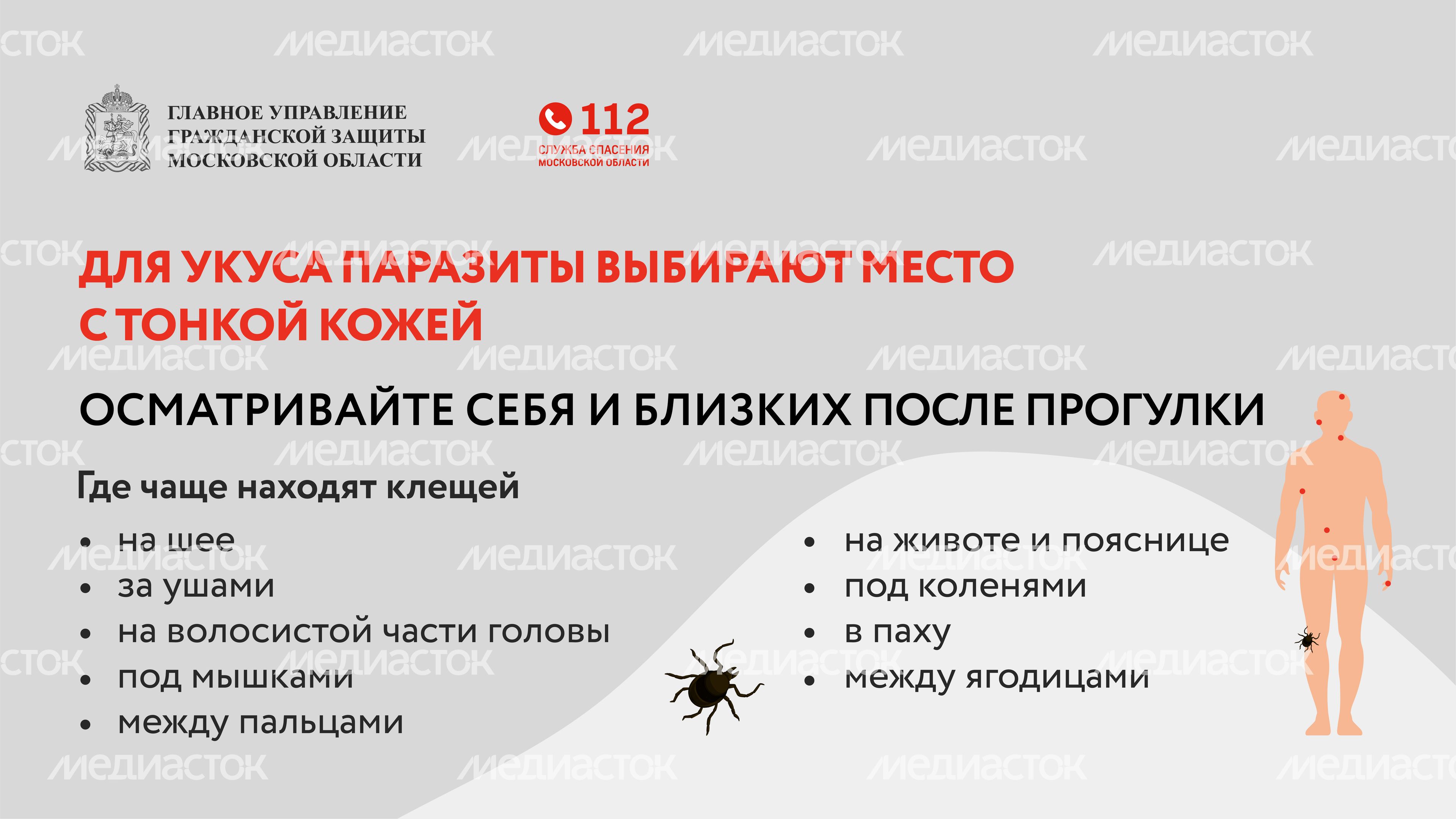 клещи_горизонталь_06