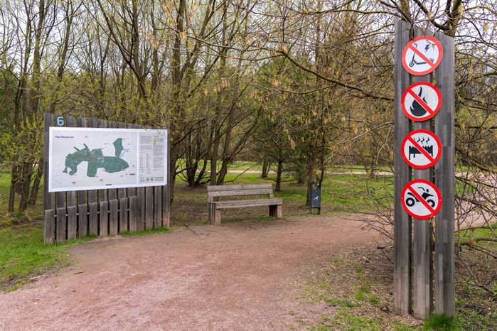 Мещерский парк в Одинцовском округе. Весна