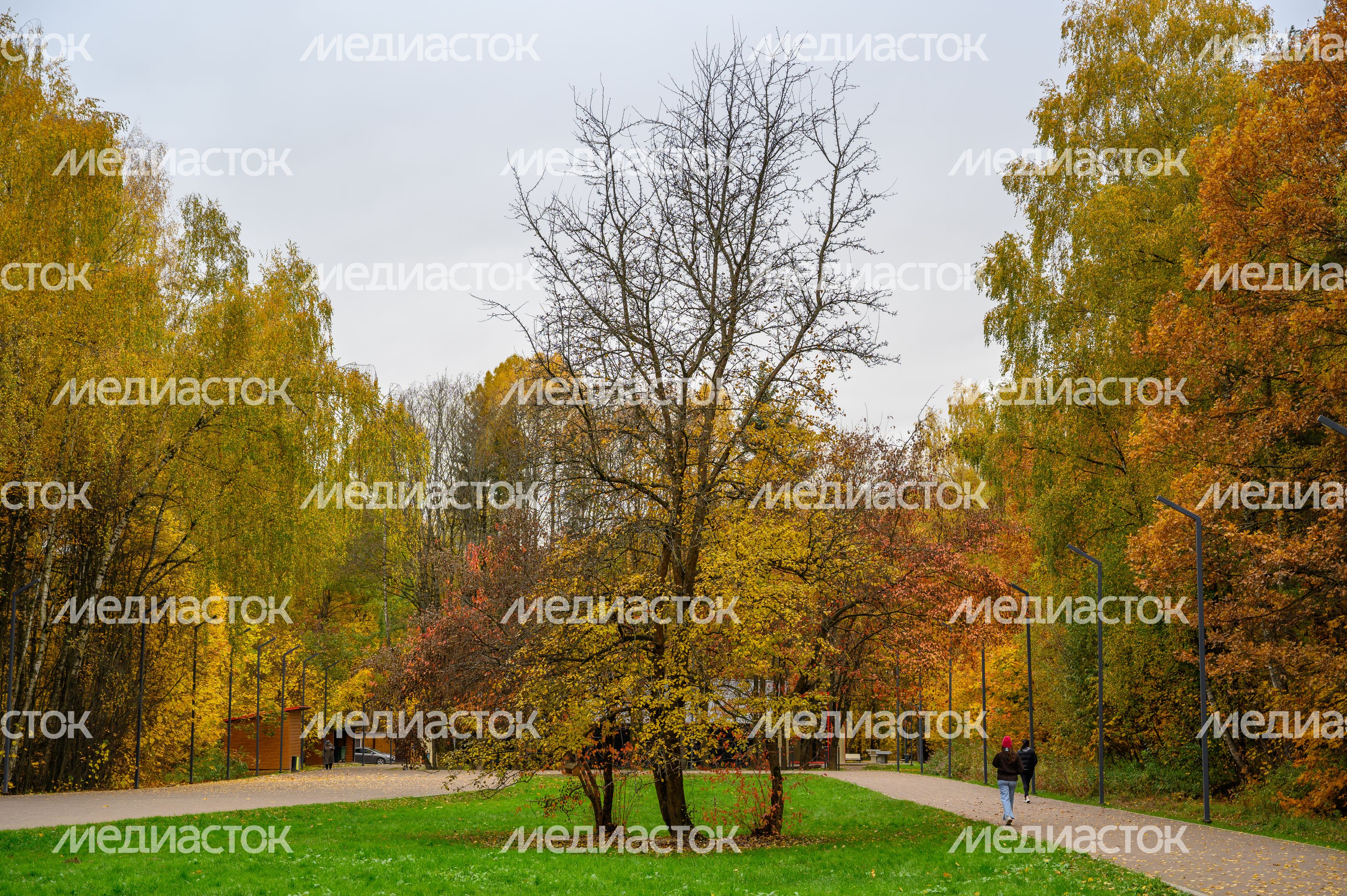 Парк «Апаринки» осенью в городе Видное Ленинского округа Парк «Апаринки» осенью в городе Видное Ленинского округа