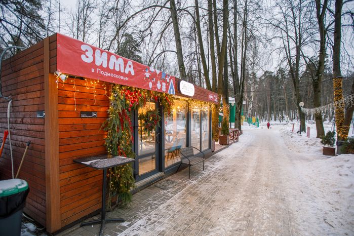 Красногорский городской парк зимой
