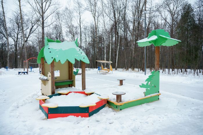 Кашира. Городской парк. Зима
