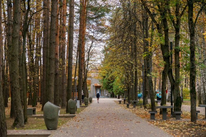 Домодедовский осенний парк культуры и отдыха «Елочки»