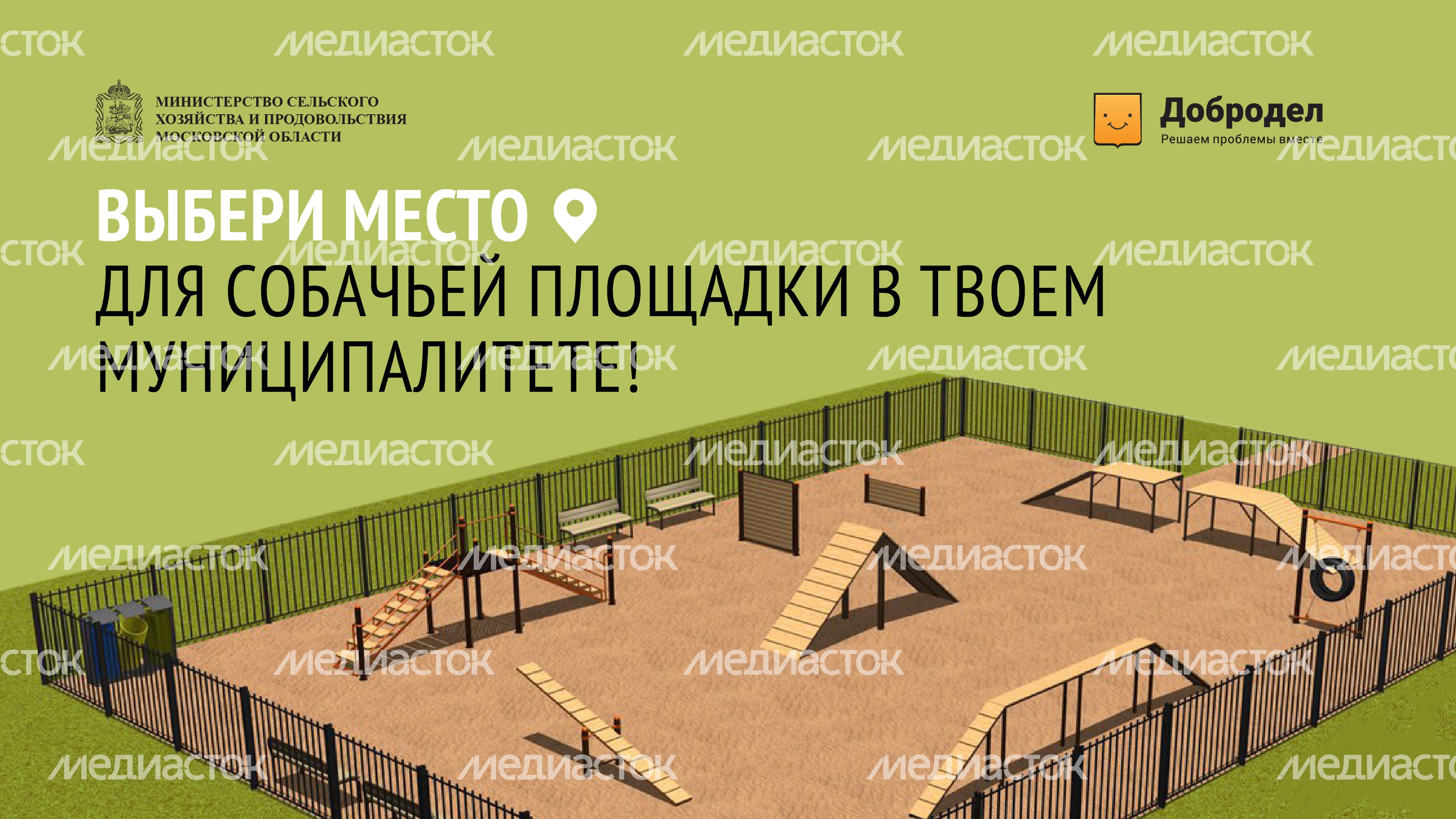 Голосование. Собачьи площадки-06.jpg
