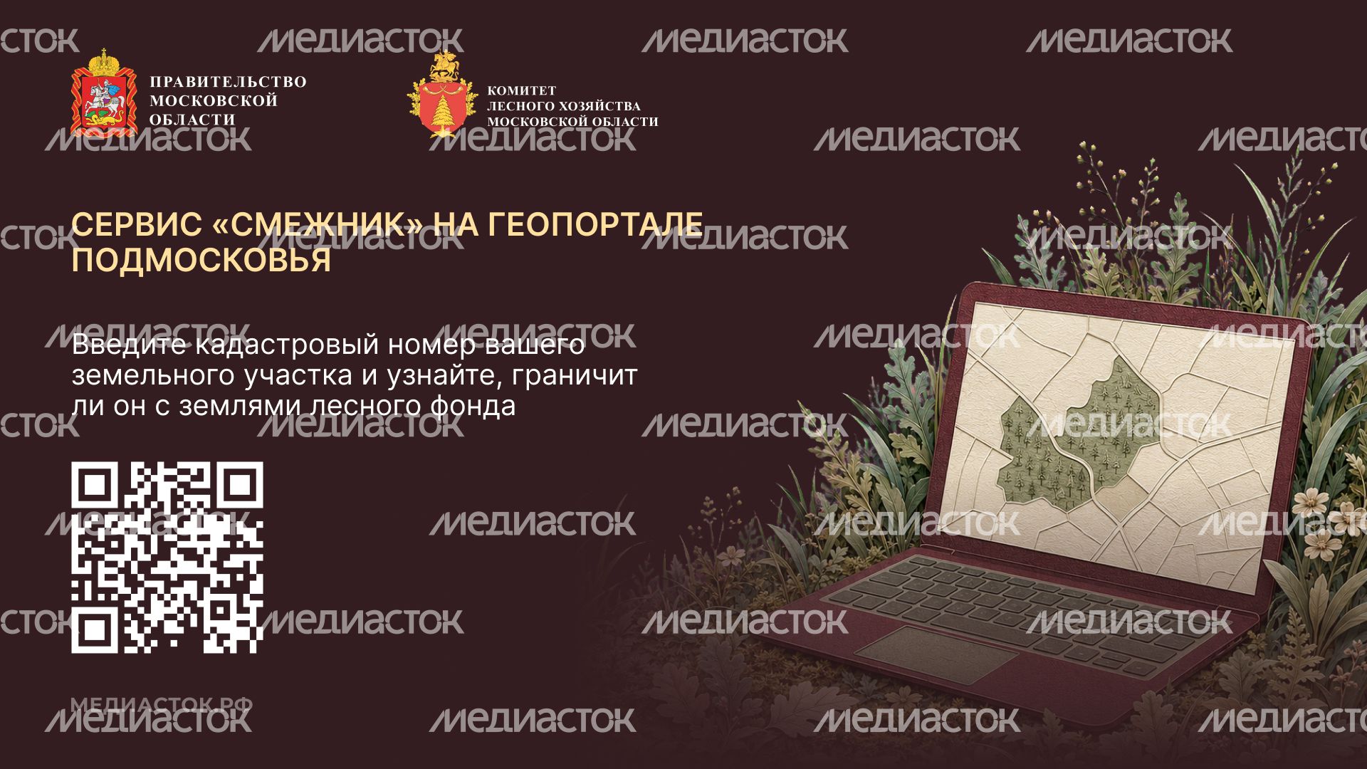 Живете рядом с лесом горизонталь 07