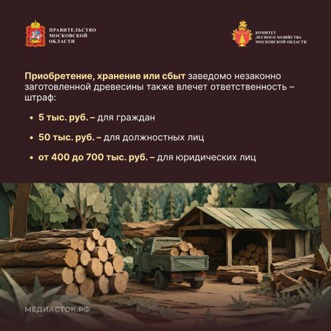 Незаконная рубка квадрат 05
